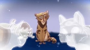 Коты-воители/Клип/"Песня про котов-воителей"/@20-Lavanda_Warrior_Cats-13