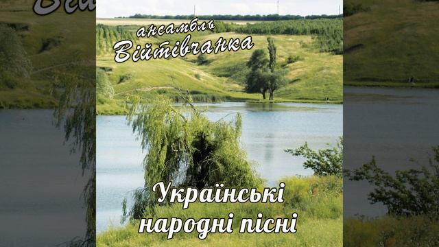 Ой, у лісі край дороги