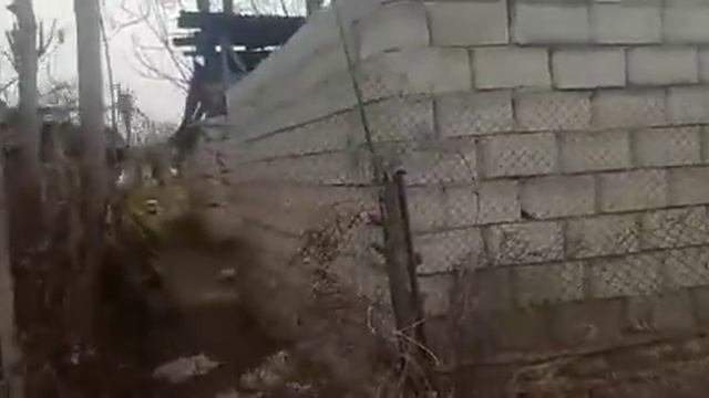 РАЁН А ДЖОМИ КАЛХОЗ МАСКВА БЬДРО ПАТПИ смотреть онлайн