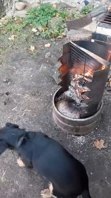 Чудо-шашлычки. Три способа жарки
