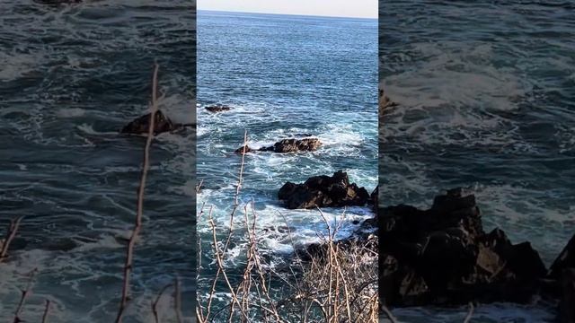 Фантазер-Азамат Мусагалиев #южнаякорея #жизньвкорее #море