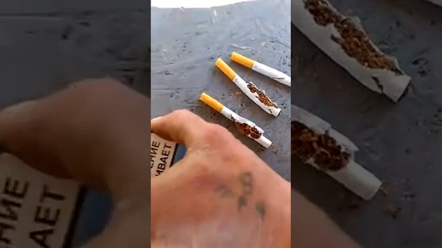 Куренье убивант смотреть онлайн