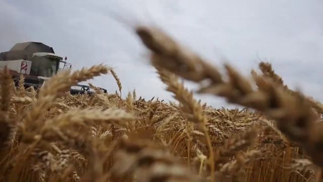 Комбайн T500 — вне конкуренции смотреть онлайн