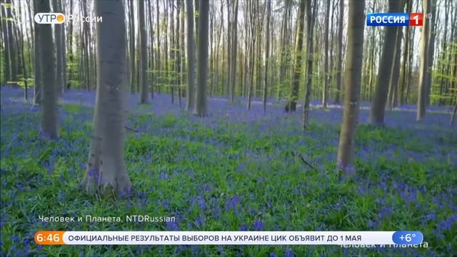 Елена Николаева Утро России Эфир от 22.04.2019 смотреть онлайн