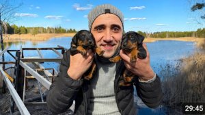 Сделал мостик и террасу на дом на дереве. Проведали Марту и щенят