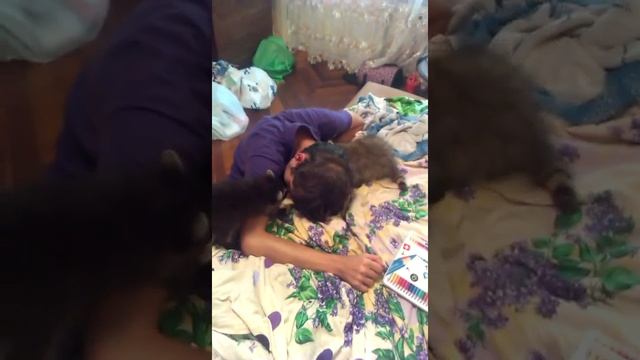 Енотьи нежности Мимими смотреть онлайн