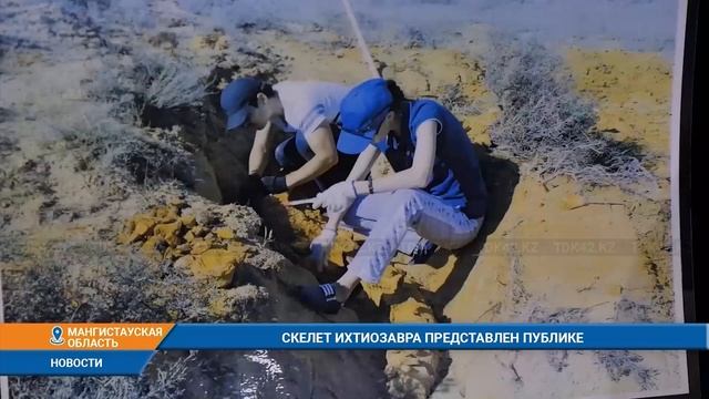 СКЕЛЕТ ИХТИОЗАВРА ПРЕДСТАВЛЕН ПУБЛИКЕ смотреть онлайн