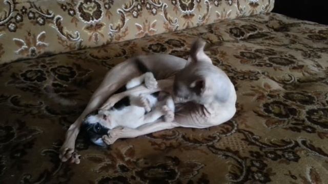 исполнился месяц смотреть онлайн