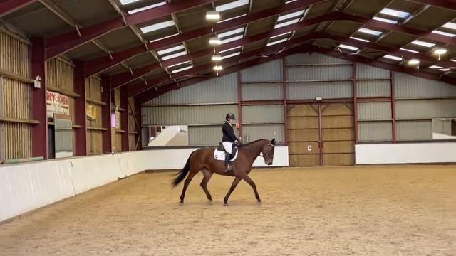 Freya Dressage Video смотреть онлайн
