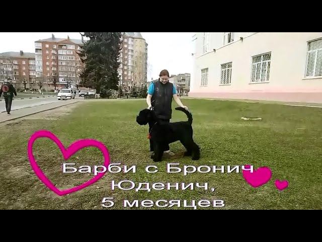 БсБ Юденич занятия в 5 месяцев смотреть онлайн