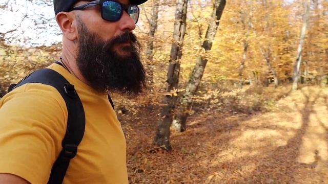 Ep.2 Foresta di Hoia Baciu. Romania Road Trip Ottobre 2018 смотреть онлайн
