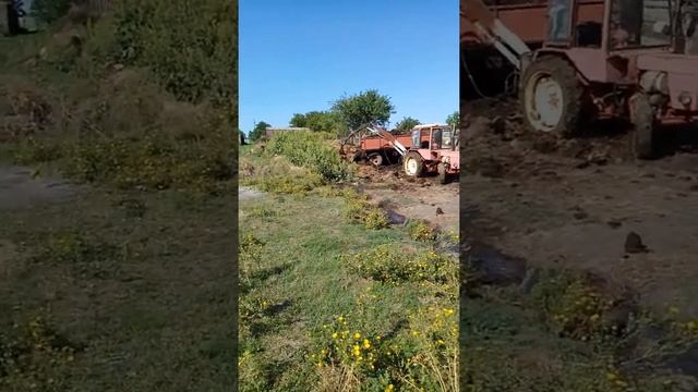 Продолжаэм вывозить навоз. смотреть онлайн