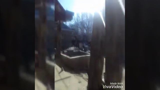 тунака фон смотреть онлайн