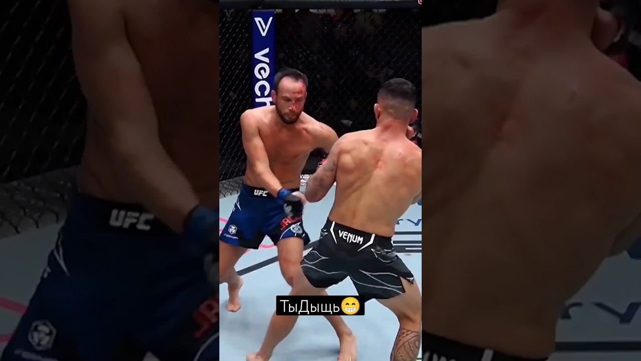 Реальные нокауты в UFC №23 смотреть онлайн