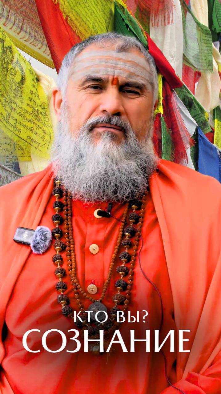 Зачем вы здесь? В чем замысел? смотреть онлайн