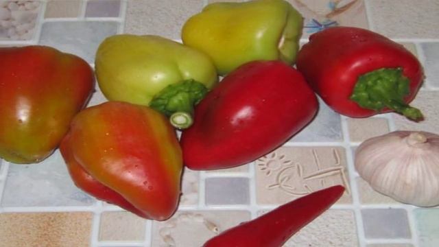 Сборник рецептов