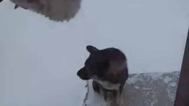 Великопостный северный блюз смотреть онлайн