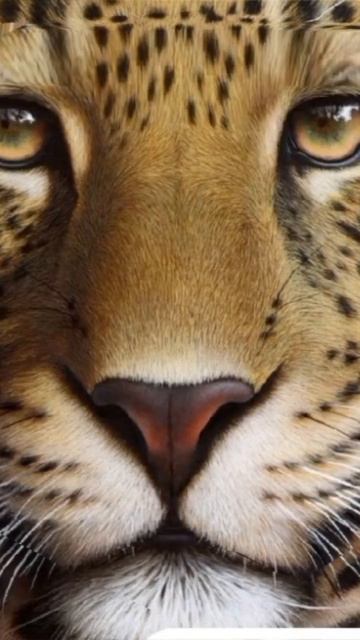 24 июля 2024 г. смотреть онлайн