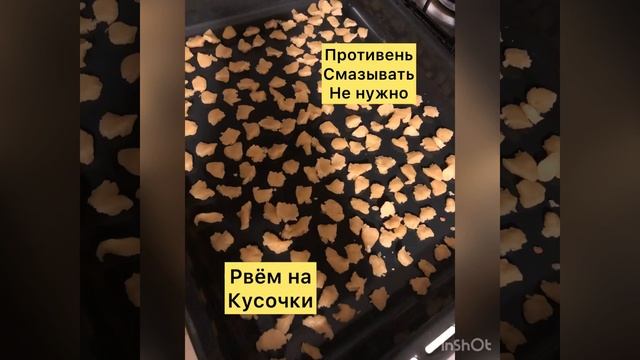 Самый быстрый муравейник