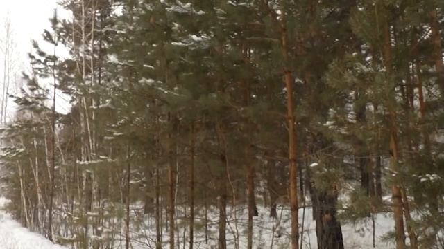 Новости МТРК 14.12.2020 смотреть онлайн