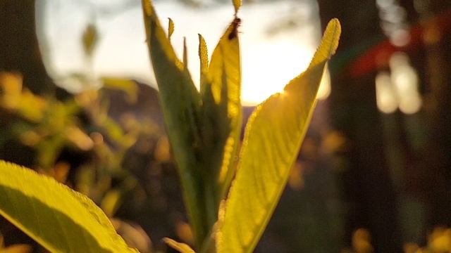 Одно слово освобождает нас от всего груза и боли в жизни, и это слово — любовь. Сократ