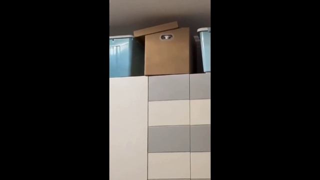 Рассмешить вас ? Все-сюда..))