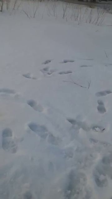 жерлицы смотреть онлайн
