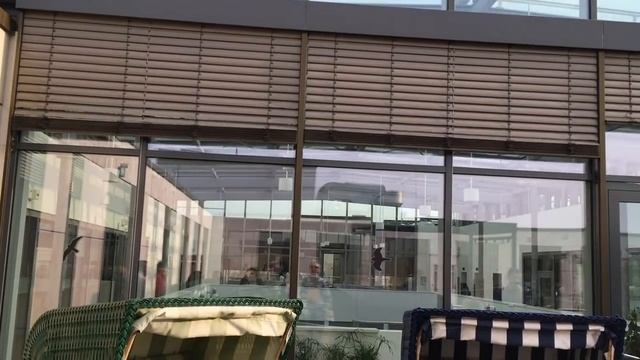 Вводный семинар для стипендиатов, наш отель ВЛОГ смотреть онлайн