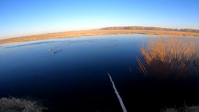 рыбалка на паук подъёмник выехали на пару часов и наловили Рыбы