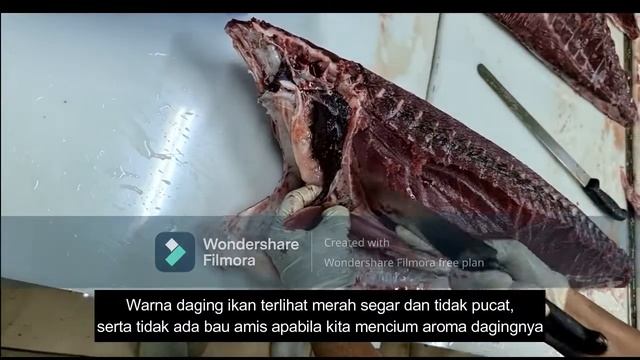 Yellowfin Tuna / Ikan Tuna Sirip Kuning I Shasimi Grade, Hadiah Terbaik Dari Nelayan I KANG IKAN смотреть онлайн