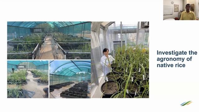 Prof. Sagadevan G. Mundree – Commercialisation of Australian native rice смотреть онлайн