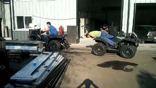 Grizzly to grizzly (tug of war) смотреть онлайн