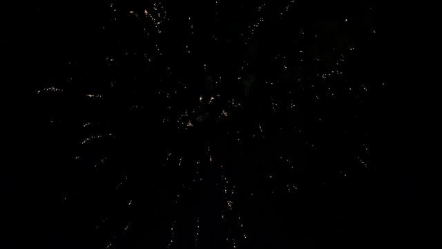 TXB244 смотреть онлайн