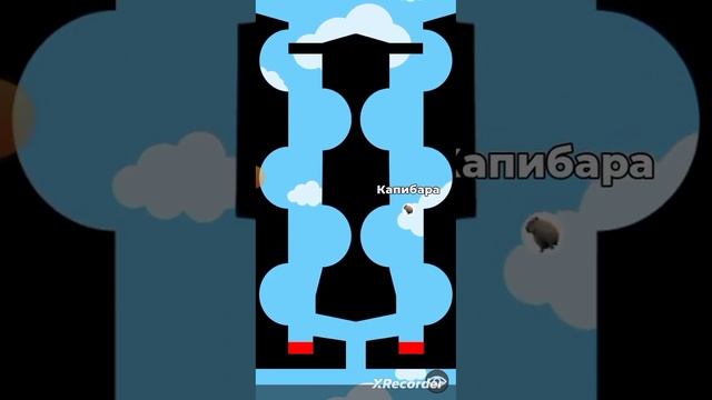 Капибара Vs Бобр#marblerun#murblerunrace#капибара#бобер#marblerunraceasmr#capibara#бобр#бобёрорёт