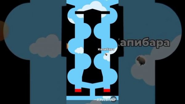 Капибара vs Бобр#marblerun#murblerunrace#капибара#бобер#marblerunraceasmr#capibara#бобр#бобёрорёт