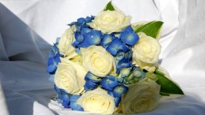 Мария Смирнова 1