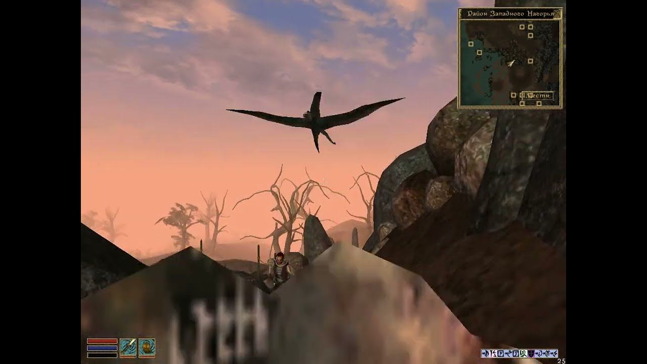 Morrowind 21