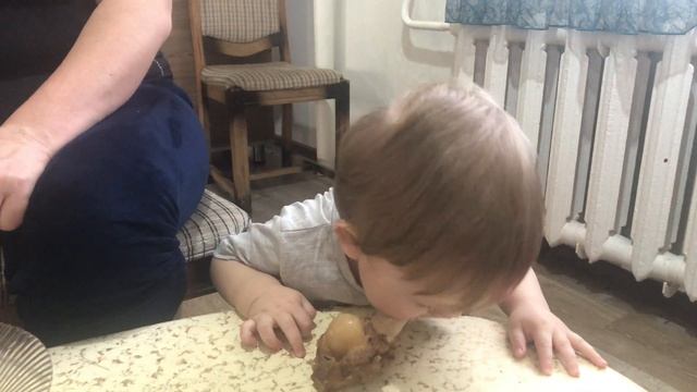 Сүйек мүжіп жеген тамаша.