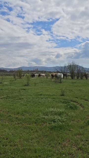 Крым на притоке Черной Реки