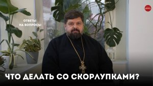 Можно ли выкидывать скорлупки освященных яиц? / священник Михаил Самохин