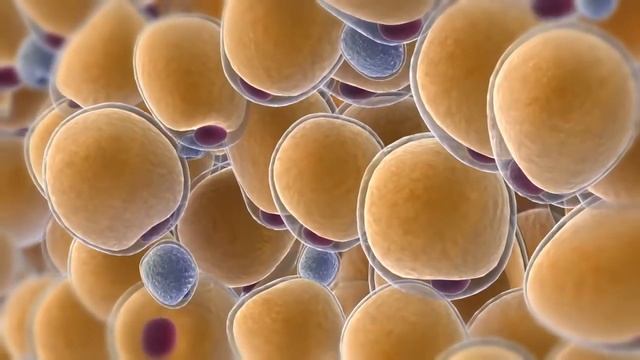 Is CoolSculpting Right For You? | Gravity Med Spa | Irvine | Costa Mesa | Newport Beach | CA смотреть онлайн