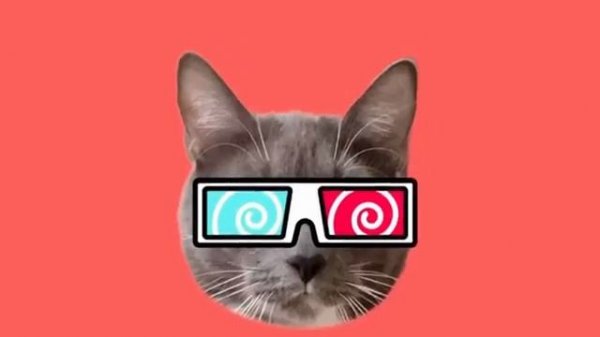 КОТИКИ В ШКОЛЕ ПРАЗДНУЮТ НОВЫЙ ГОД! →
 #kotynet