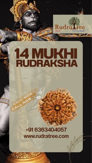 Unlock Divine Wisdom with 14 Mukhi Rudraksha! смотреть онлайн