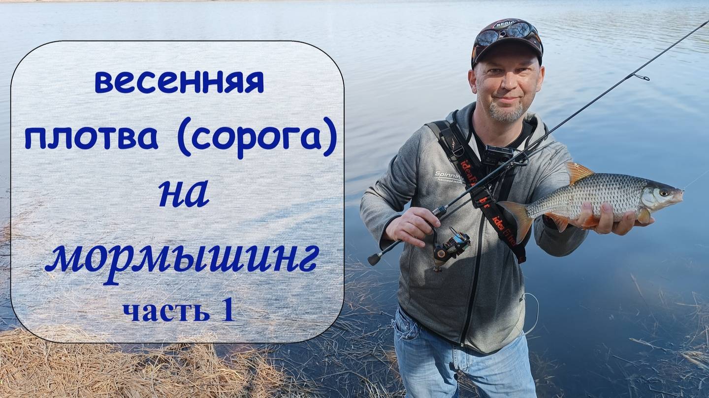 крупная весенняя плотва/сорога на мормышинг (часть 1) смотреть онлайн