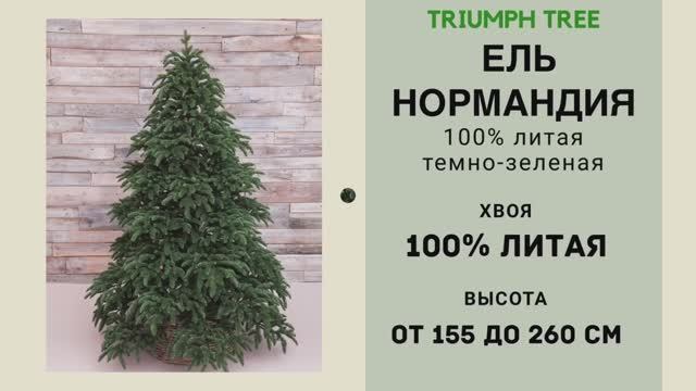 Triumph Tree - ОБЗОР искусственной ели Нормандия 100% литая темно-зеленая