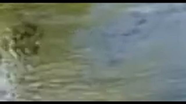 Для личного пользования видео аудио 4 ПОПЫТКА смотреть онлайн