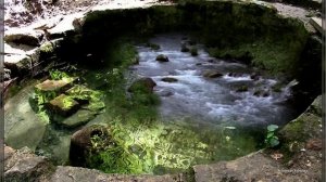 _Родник_ Жанна Бичевская