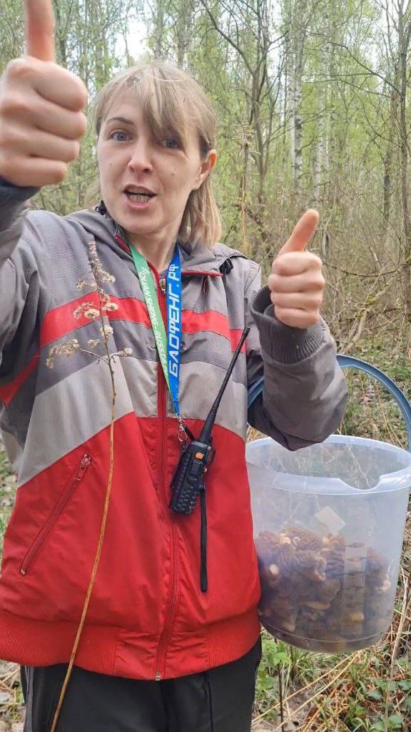 какая прелесть 🔥 ГРИБЫ ВЕЗДЕ ‼️ сморчки со всех сторон, утро грибника ‼️ смотреть онлайн