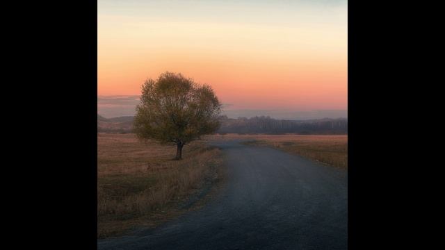 Sunbyonic - Zabyvchivye nezabudki смотреть онлайн