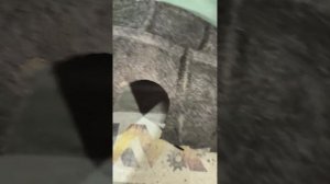 34607 Подкрылок задний левый Volkswagen Tiguan 2008-